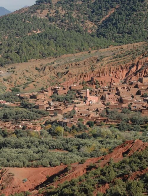Half Day Walk in the Atlas Mountains