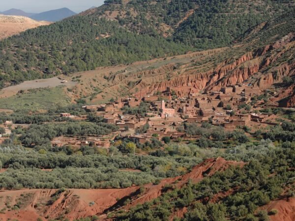 Half Day Walk in the Atlas Mountains