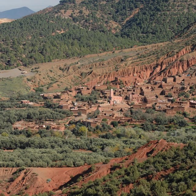 Half Day Walk in the Atlas Mountains